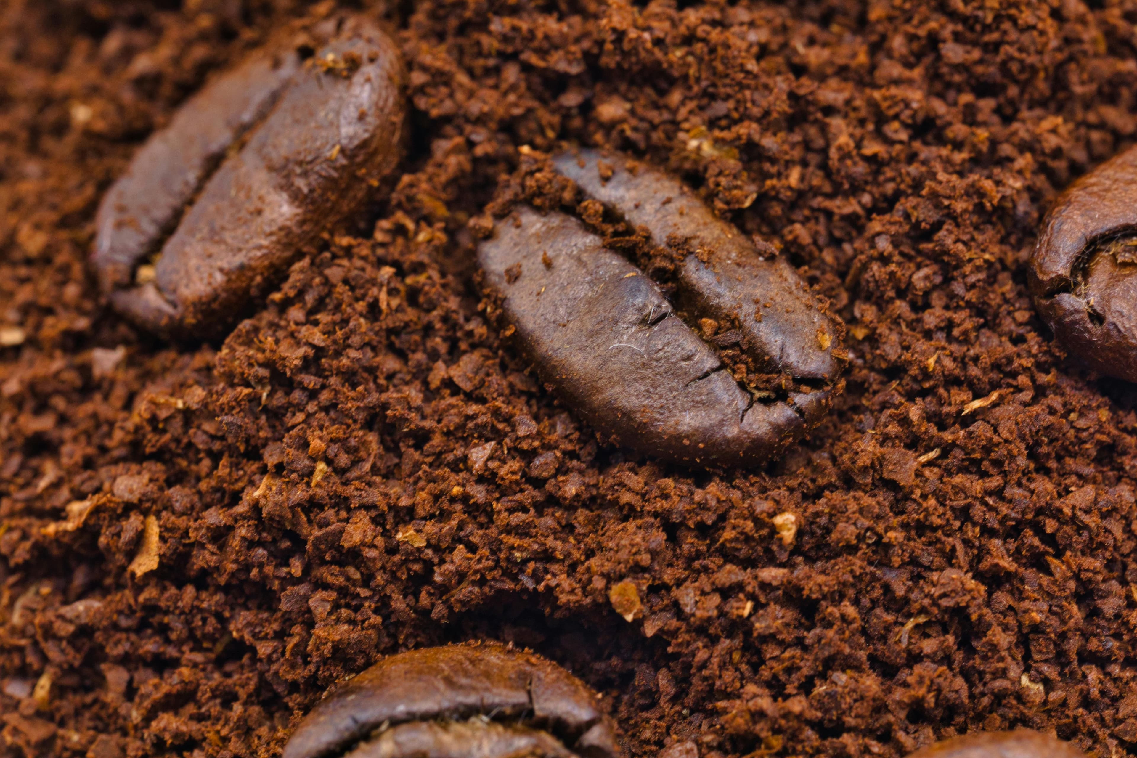 Composted soil ready to feed the next planting