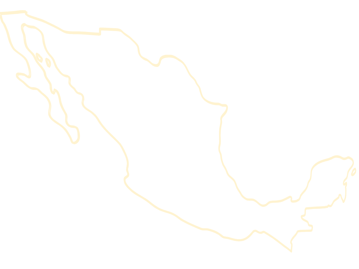 Outline of Mexico marking the Veracruz coffee origin
